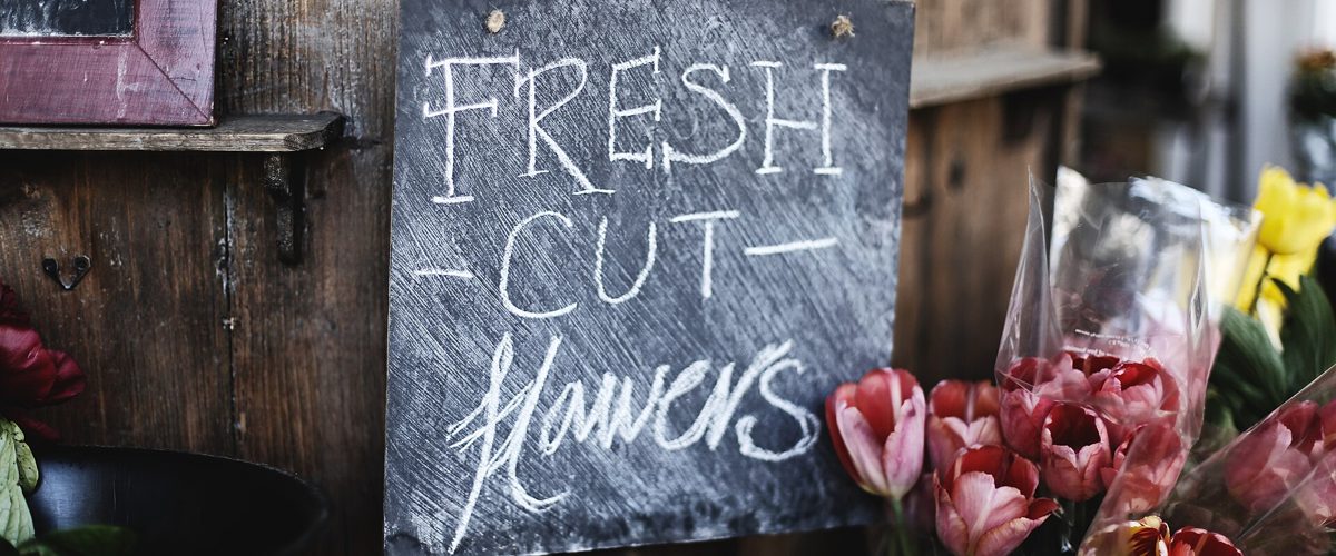 Fresh cut flowers