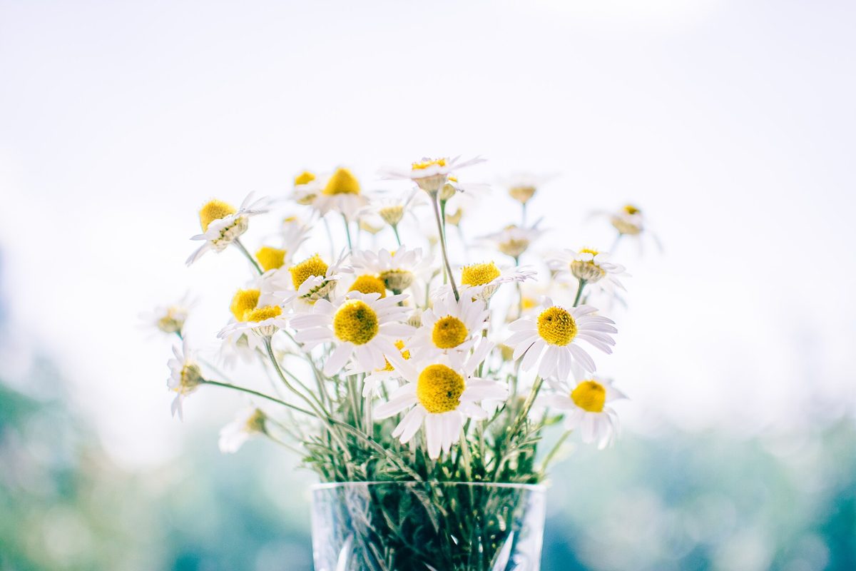 Daisy Bouquet