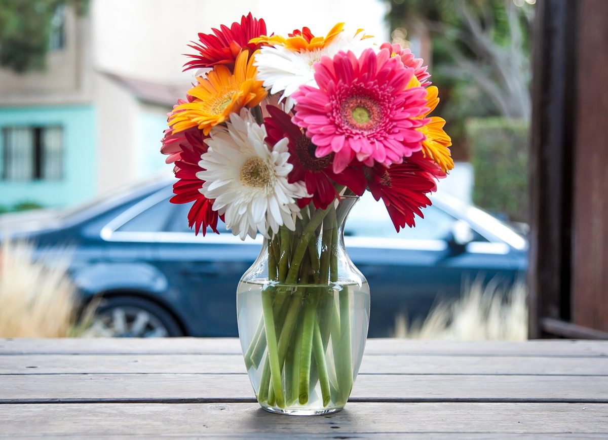 Gerbera Daisy Bouquet