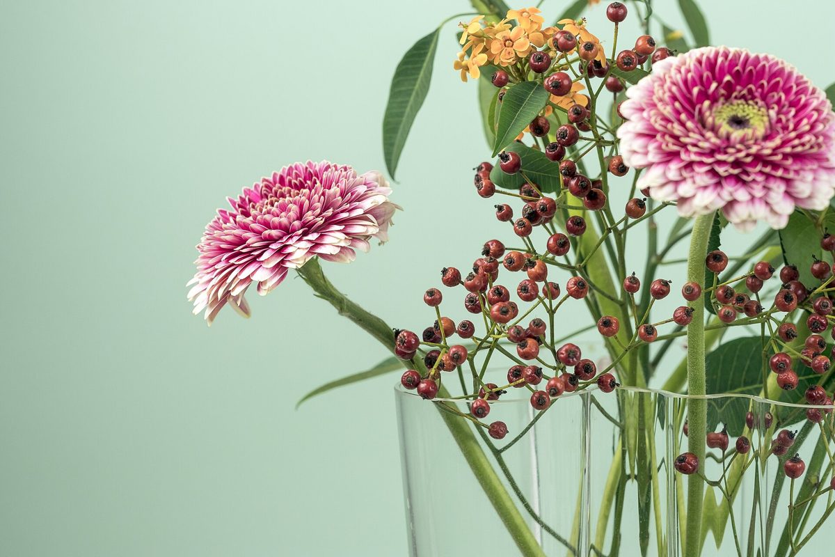 Gerbera Bud Vase