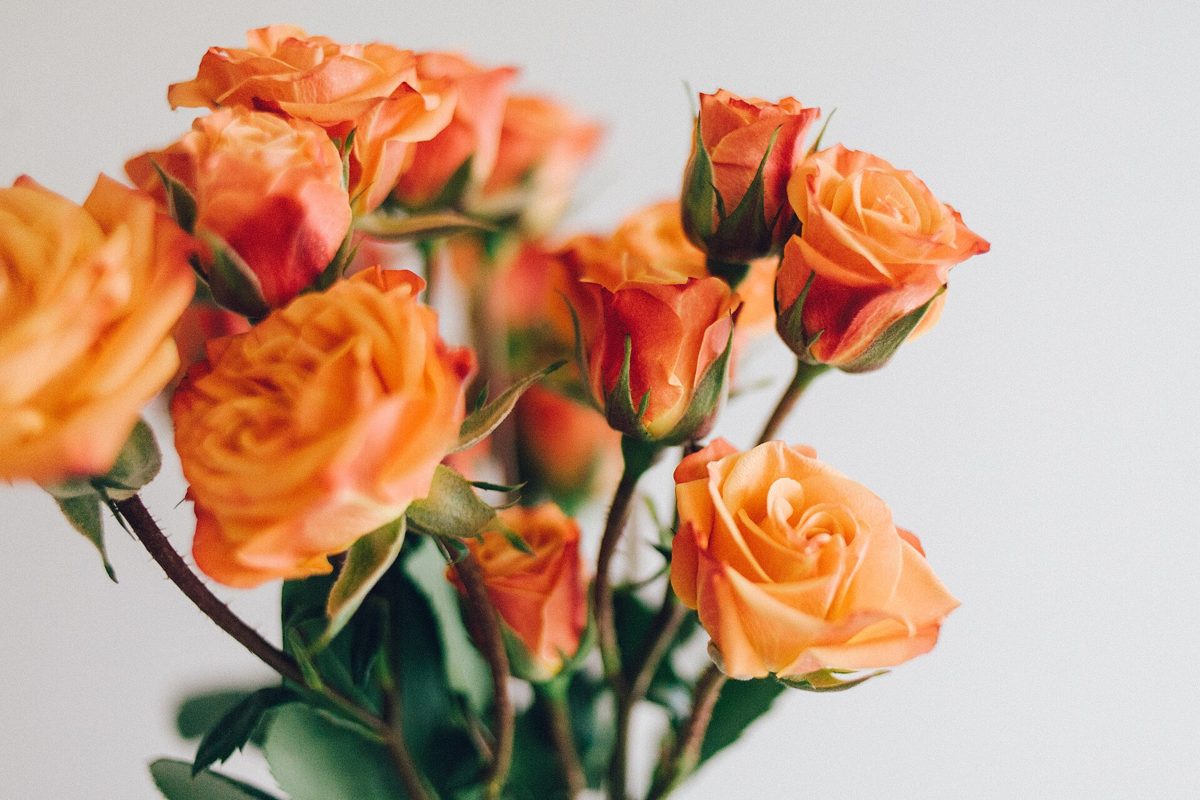 Peach Rose Bouquet
