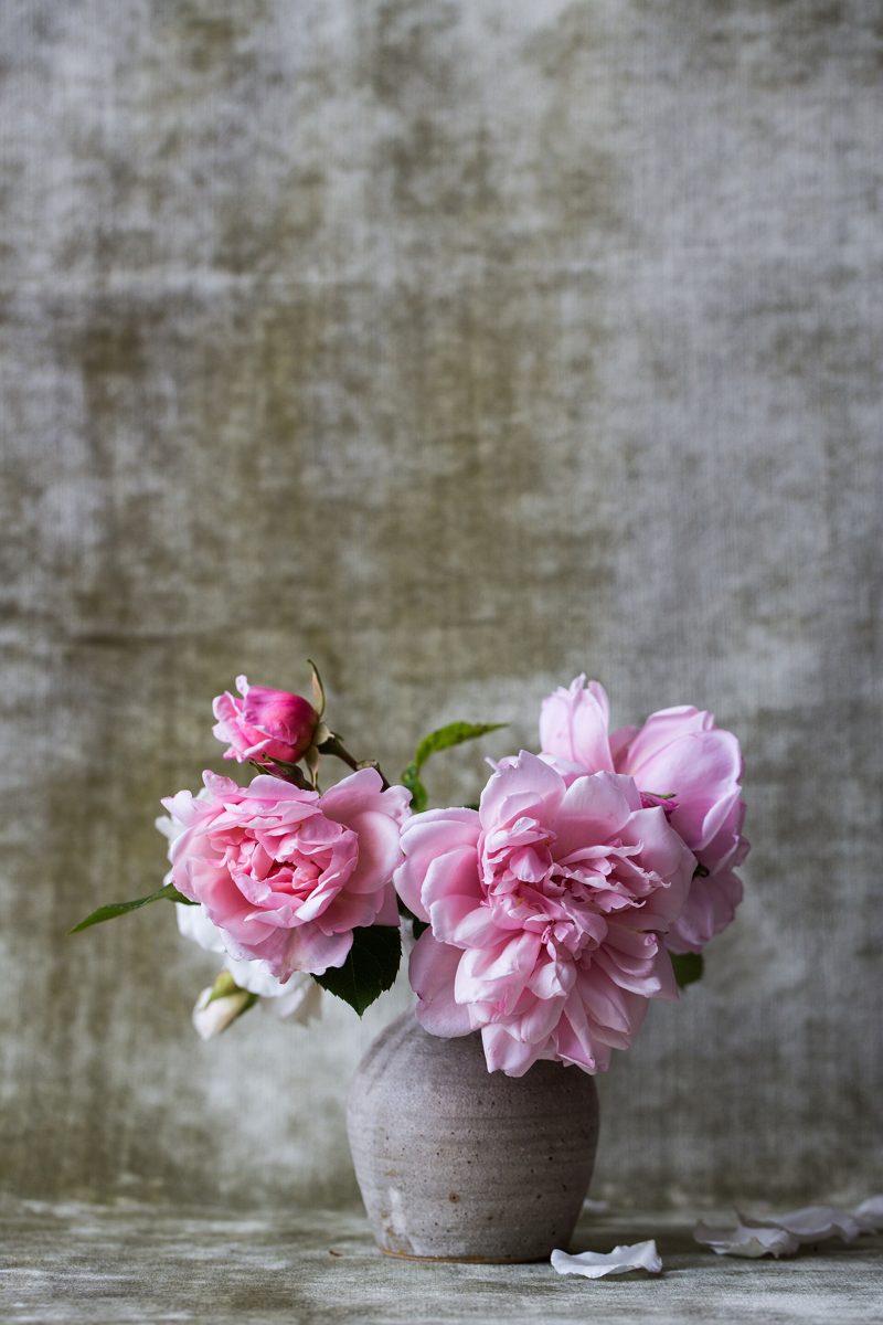 Pink Peonies