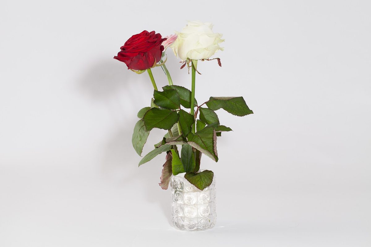 Red & White Rose Bud Vase