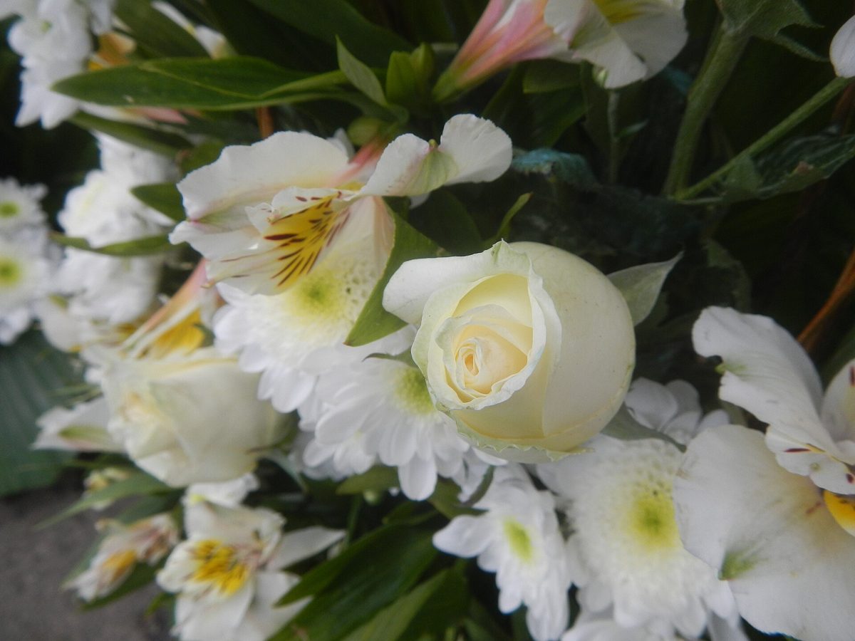 Simple White Bouquet