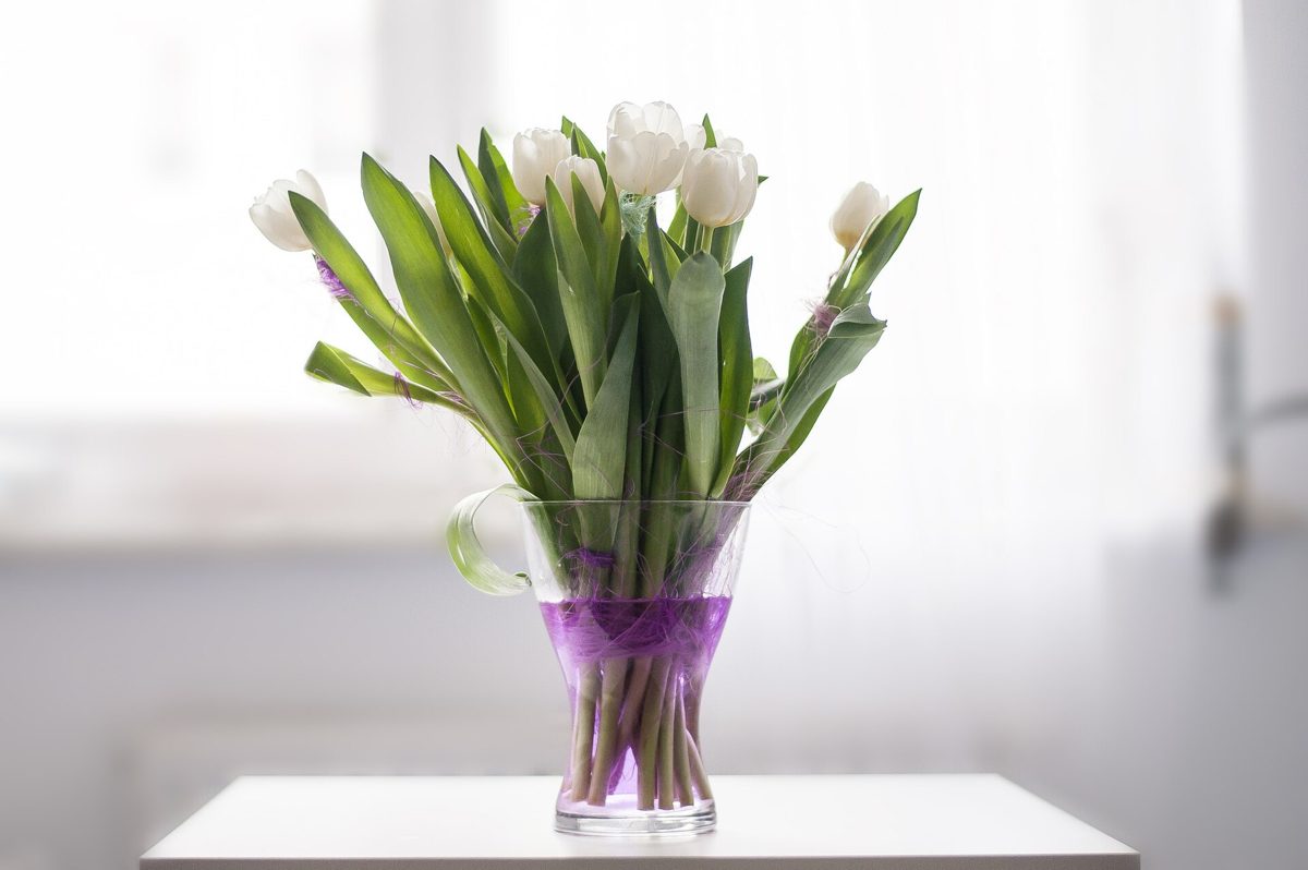 White Tulips in a Glass Vase